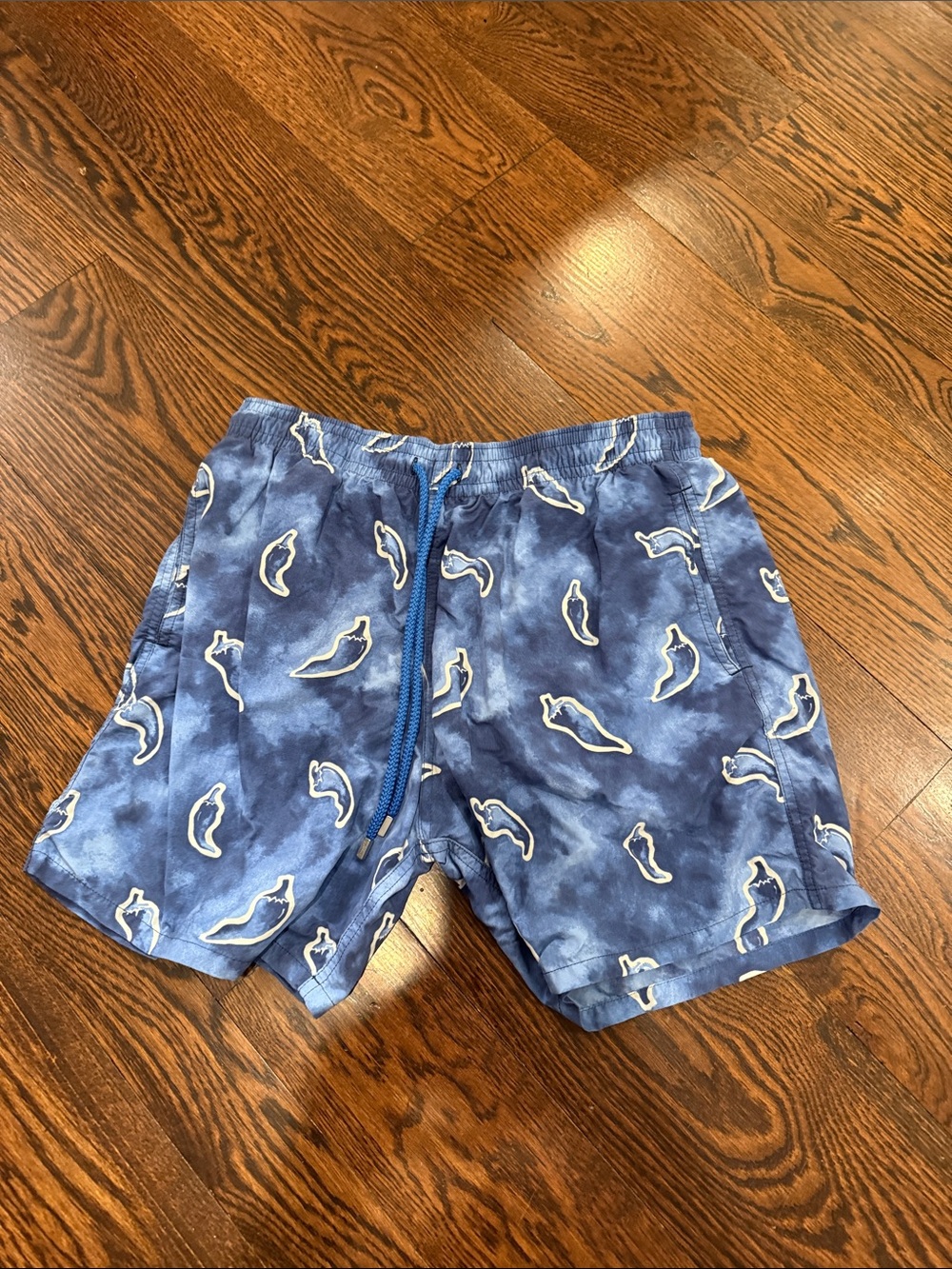 Men's Blue Printed bathing suit